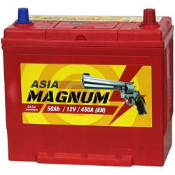 Magnum Standard Asia (6CT-100L)