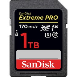 SanDisk Extreme Pro V30 SDXC UHS-I U3 1024Gb