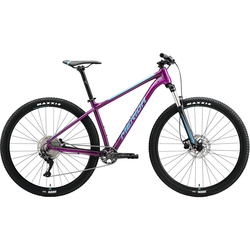 Merida Big.Nine 200 2022 frame S