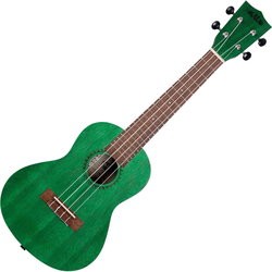 Kala Fern Green Watercolor Meranti Concert