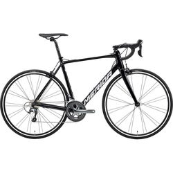 Merida Scultura Rim 300 2022 frame S