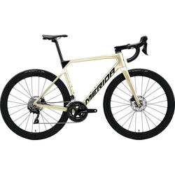 Merida Scultura Limited 2022 frame XS