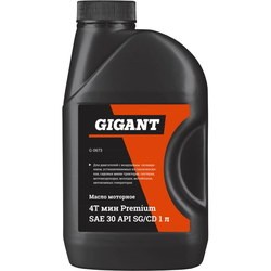 Gigant 4T Premium SAE 30 1L