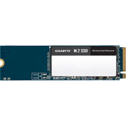 Gigabyte GM21TB