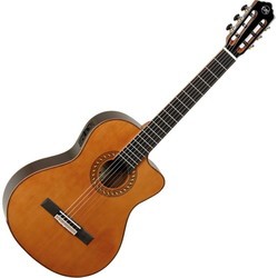 Tanglewood EM DC5