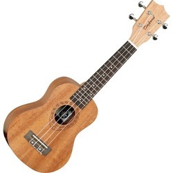 Tanglewood TWT1