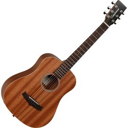 Tanglewood TW2 T