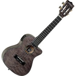 Tanglewood TWT 27 E