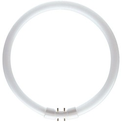 Philips MASTER TL5 Circular 22W 4000K 2GX13