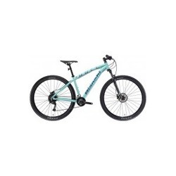 Bianchi Duel Alivio Mix 29 2021 frame S (бирюзовый)