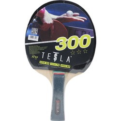 Tesla 300