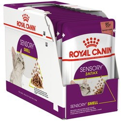 Royal Canin Sensory Smell Gravy Pouch 48 pcs