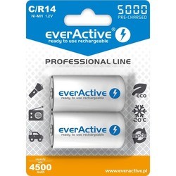everActive Professional Line 2xC 5000 mAh