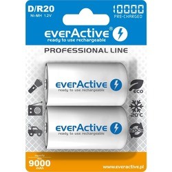 everActive Professional Line 2xD 10000 mAh