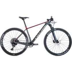 Cyclone Pro 1 2022 frame 17