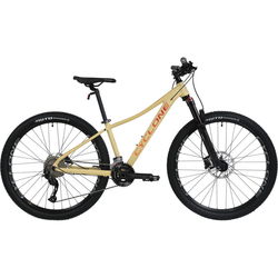 Cyclone LLX 2023 frame 14