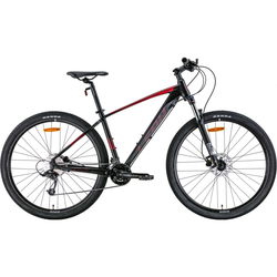 Leon TN-70 AM HDD 2022 frame 21