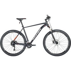 Winner Solid DX 29 2022 frame 20