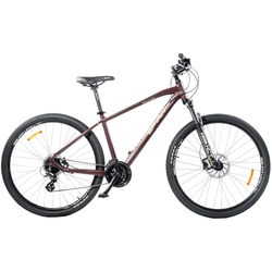 Spirit Fitness Echo 9.2 29 2021 frame L