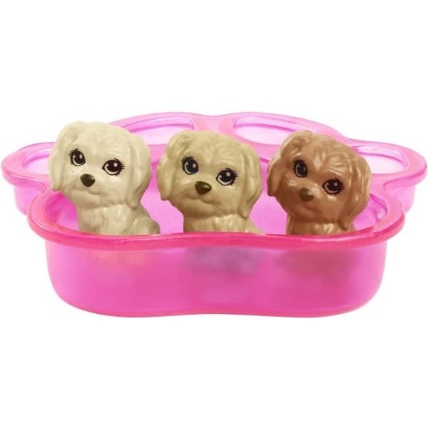 Barbie Doll And And Newborn Pups Playset With Dog HCK75