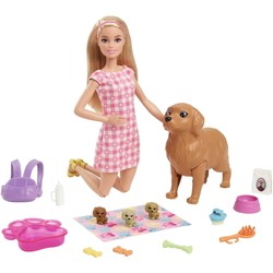 Barbie Doll And And Newborn Pups Playset With Dog HCK75