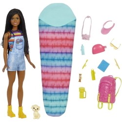 Barbie It Takes Two Brooklyn Camping HDF74