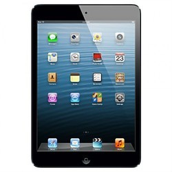 Apple iPad mini 16GB (серый)