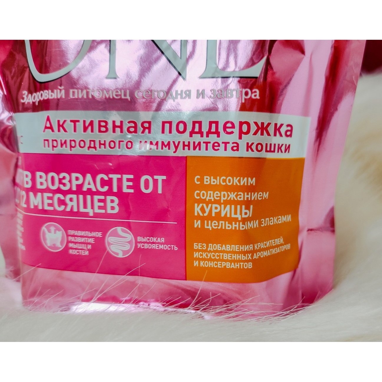 Purina ONE Junior Dual Defense with Chicken 0.8 kg