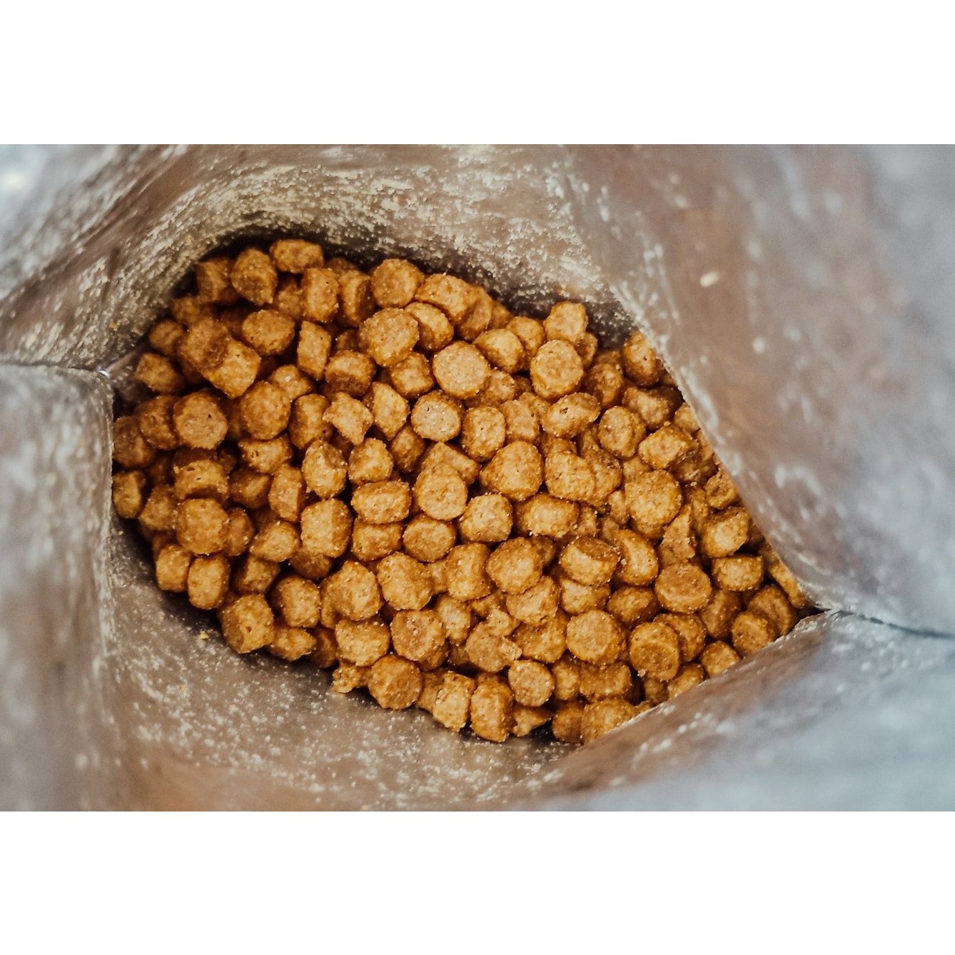 Purina ONE Junior Dual Defense with Chicken 0.8 kg