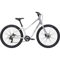 Marin Stinson 1 2023 frame M