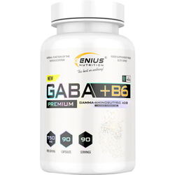 Genius Nutrition GABA + B6 90 cap