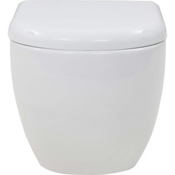 VidaXL Wall Hung Toilet Ceramic 143022