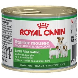 Royal Canin Starter Mousse 6 pcs