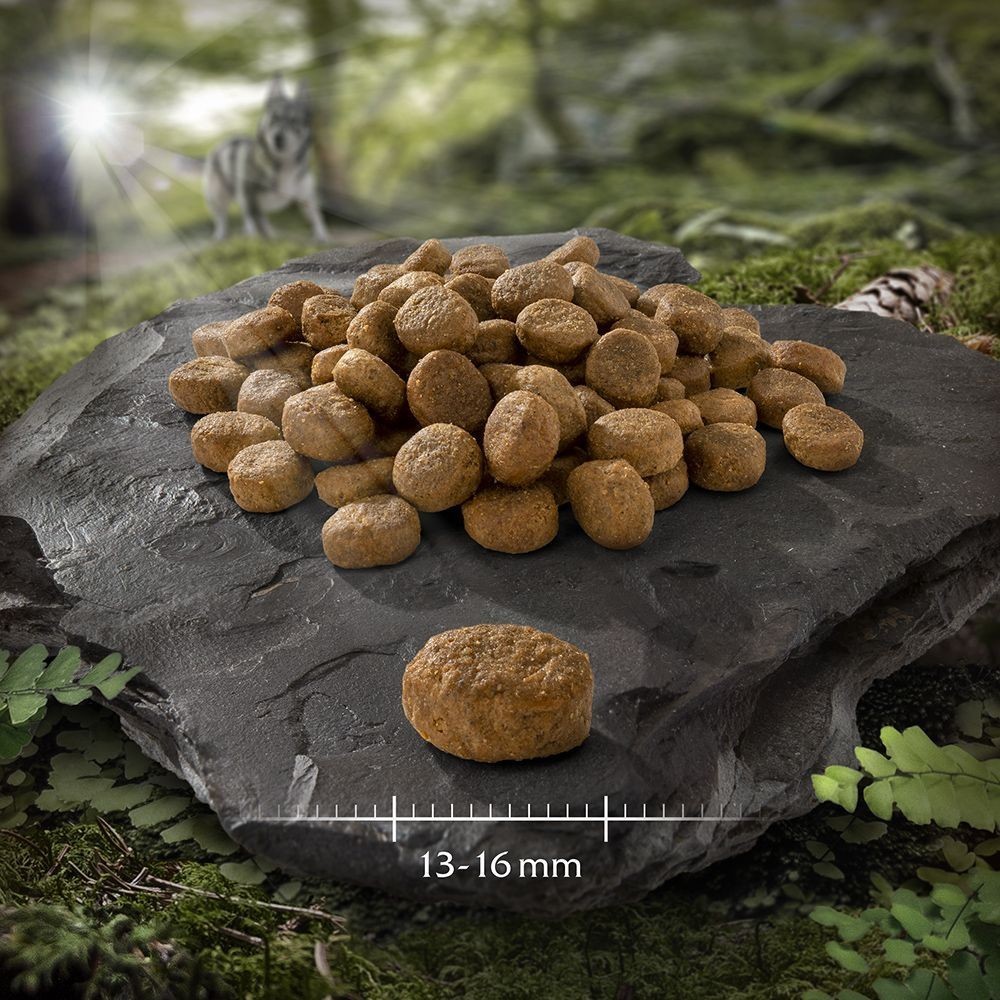 Wolf of Wilderness Explore The Vast Forests 12 kg