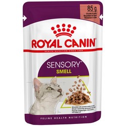Royal Canin Sensory Smell Gravy Pouch 24 pcs