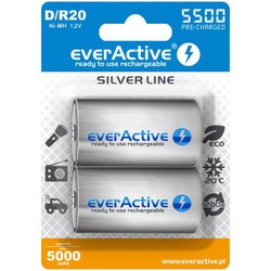 everActive Silver Line 2xD 5500 mAh