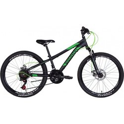 Discovery Rider AM DD 24 2022 (зеленый)