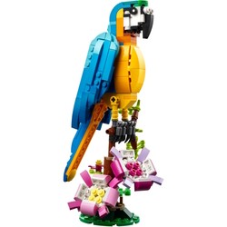 Lego Exotic Parrot 31136