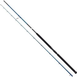 Savage Gear SGS2 Shore Jigging 290-80