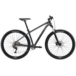 Merida Big.Seven 200 2022 frame XS (серебристый)