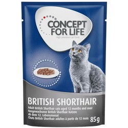 Concept for Life British Shorthair Ragout Pouch 24 pcs