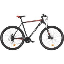 Indiana X-Pulser 2.9 MD 2022 frame 19