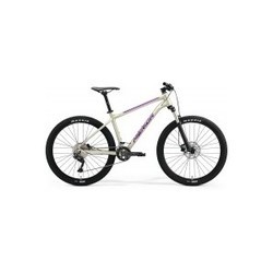 Merida Big.Seven 300 2023 frame XS (бежевый)