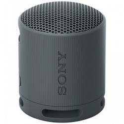 Sony SRS-XB100 (черный)
