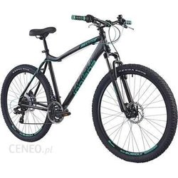 Indiana X-Pulser 2.7 D 2023 frame 15 (бирюзовый)