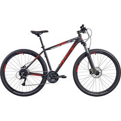 Indiana X-Pulser 2.9 M 2023 frame 19