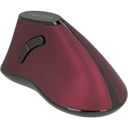 Delock Ergonomic Vertical Optical 5-button Mouse 2.4 Ghz Wireless