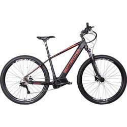 Bottecchia Evo Start 29 2022 frame 19