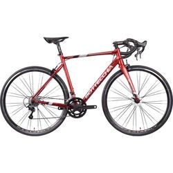 Bottecchia Duello Campagnolo 2022 frame 44