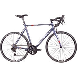 Bottecchia Duello Shimano 2022 frame 44